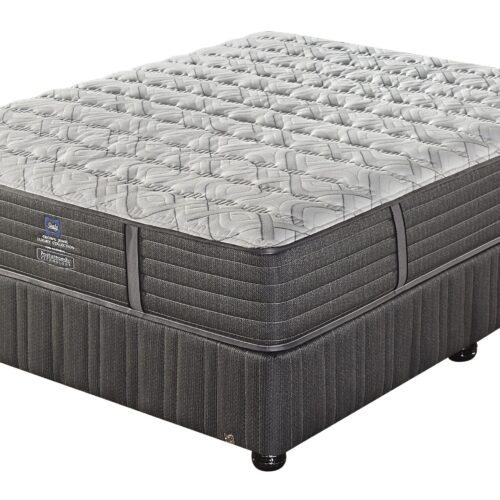 Sealy Teatro Firm Mattress