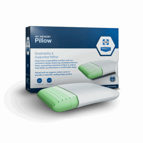 Sealy My Memory Pillow